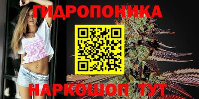 Альфа ПВП Шахты