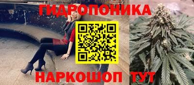 jwh Шелехов