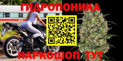 jwh Шелехов