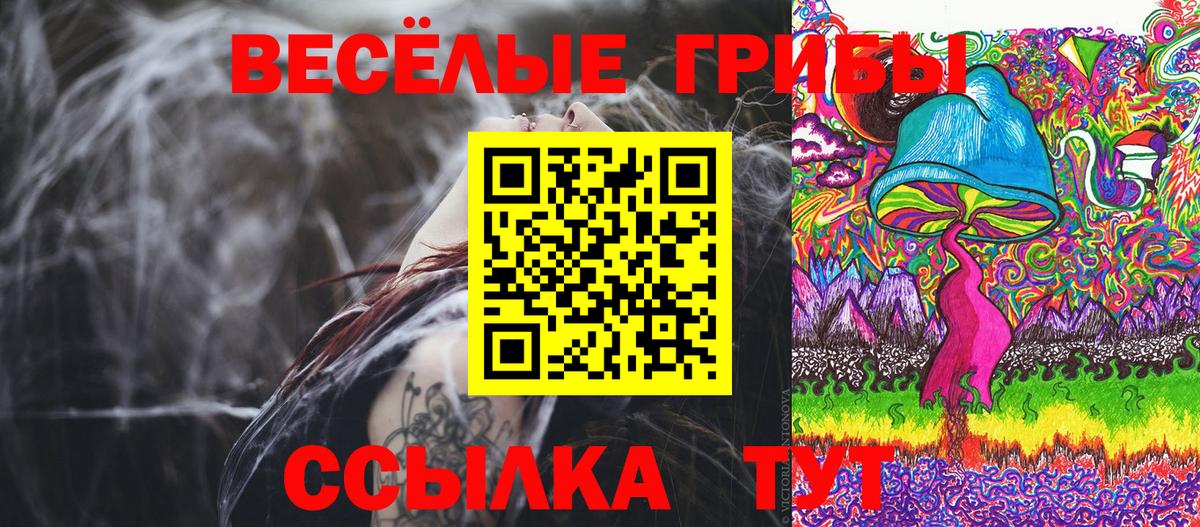 Псилоцибиновые грибы Psilocybe Железноводск